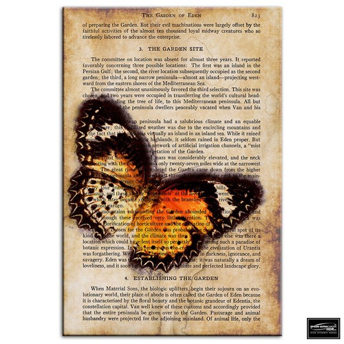 Butterfly vintage collage - butterfly,