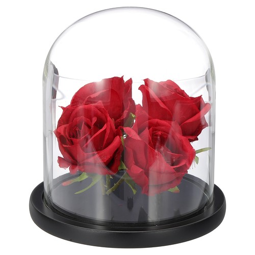 Glass cloche display dome - cloche,