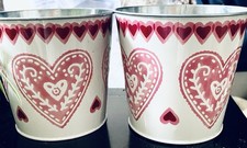 Set Of 2 Metal Flowers Pots By