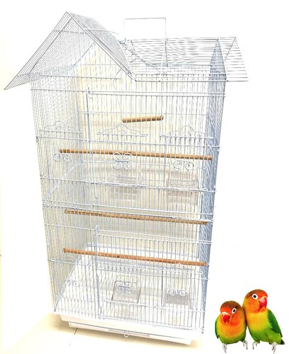 Canary parakeet lovebird - 38",