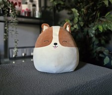 Squishmallows Regina Corgi Dog