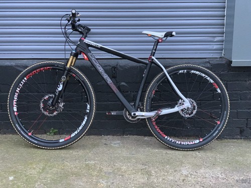 Full carbon mountain bike - carbon,
