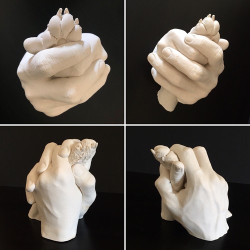 Hand paw casting kit - hand,