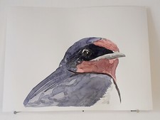 Fireplace Swallow ORIGINAL