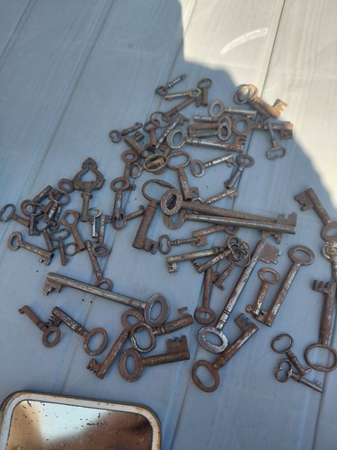 Vintage skeleton keys job - skeleton, lot