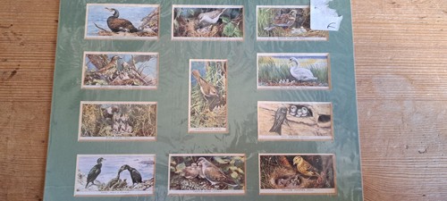 Mounted set players - of, 11