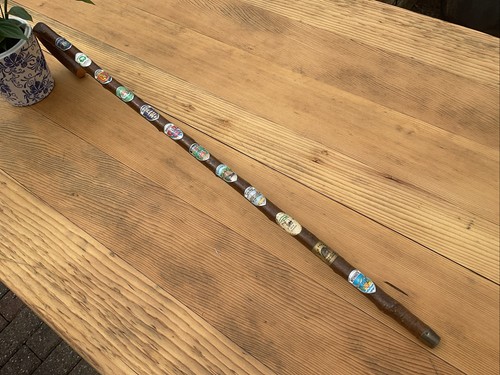 Walking stick with visitor - with,