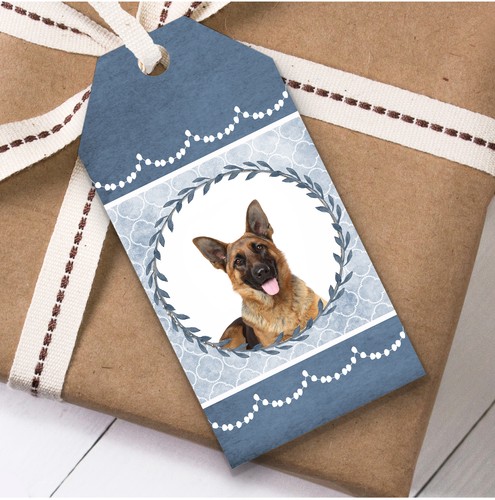 German shepherd dog - shepherd, blue