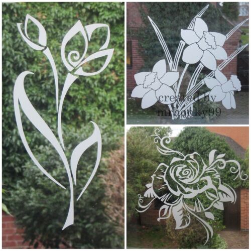 Frosted etched glass - etched, vinyl