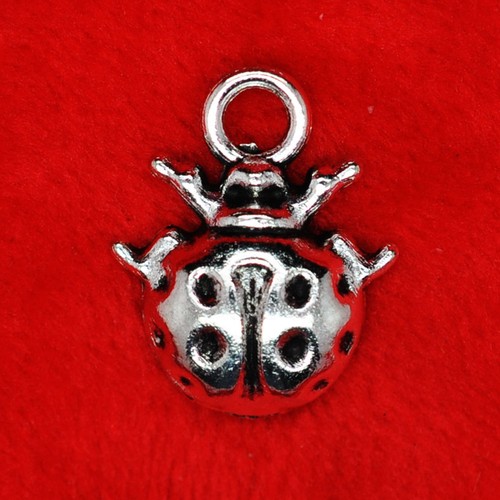 Tibetan silver ladybird - tibetan,