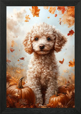 Autumn poodle portrait - poodle, with
