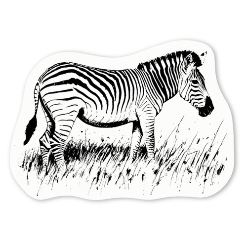Zebra grazing grass decal - on,