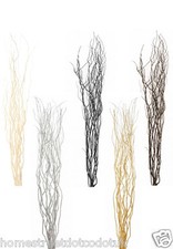 Twisted Willow Twig Branches