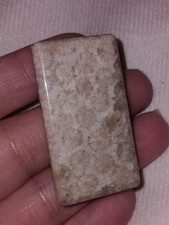 Fossil coral rectangle - fossil,