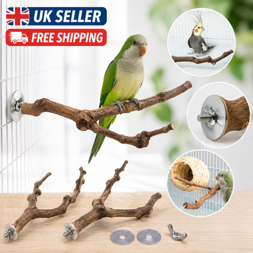 Wooden parrot bird stand tree - parrot,