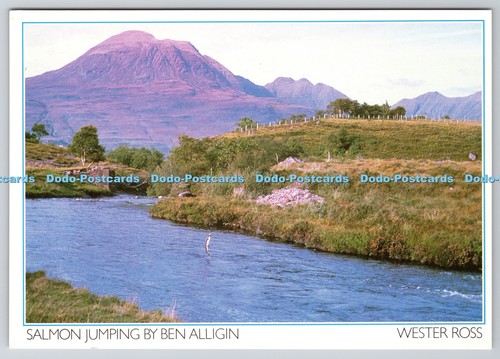 D321776 wester ross - d321776, ross.