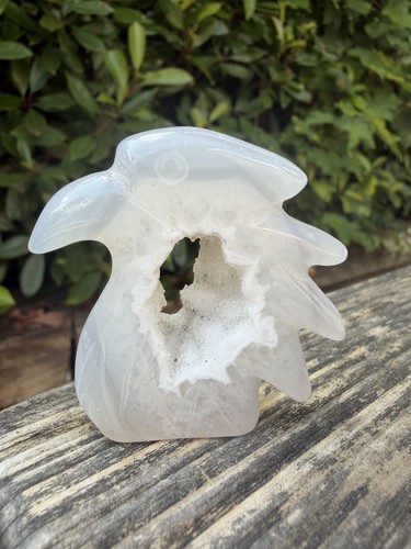 Druzy agate eagle head - agate,
