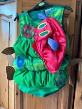 The Very Hungry Caterpillar Tabard 5-6