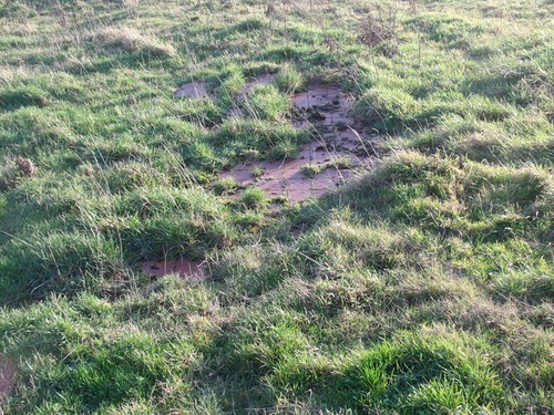 Photo the remains - a3,