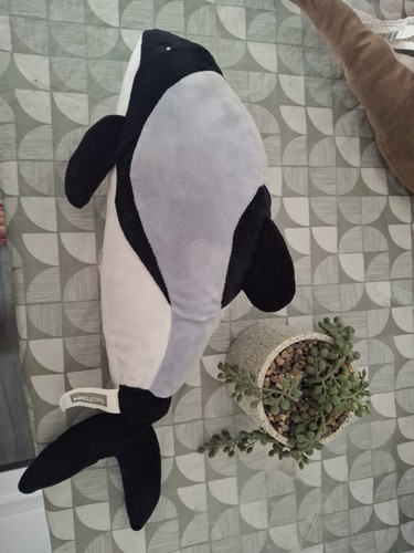 Little town orca killer - little, whale