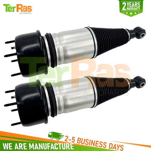 Rear air suspension shock - 2x,