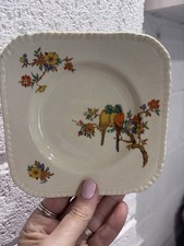 Vintage Plate Parrot 🦜