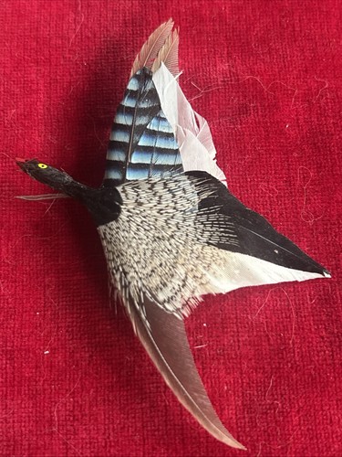 Vintage scottish bird feather - scottish?,