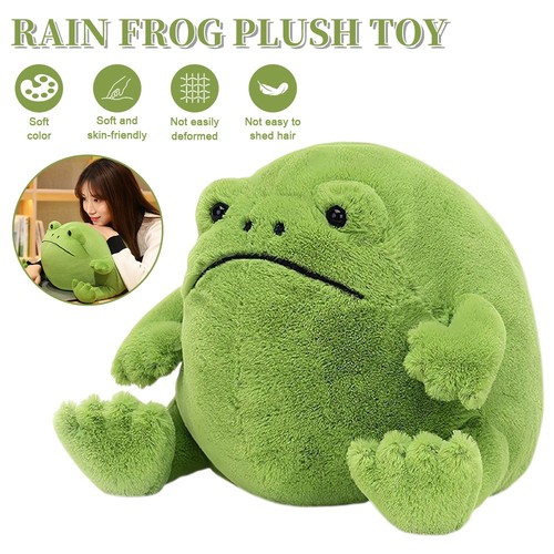 Medium ricky rain frog - rain,