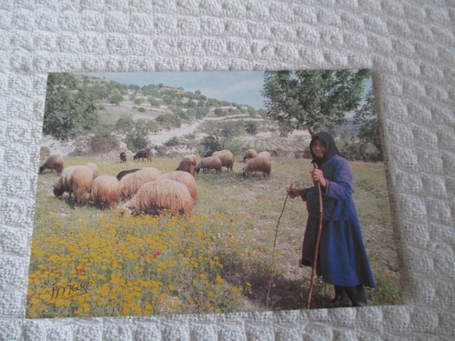 Vintage colour postcard - colour,