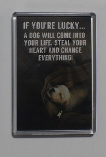Extra large fridge magnet - extra,