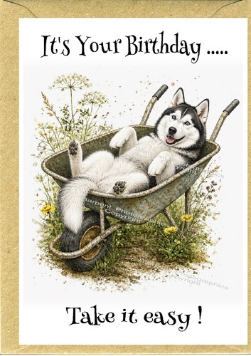 Siberian husky dog - (4", 6")