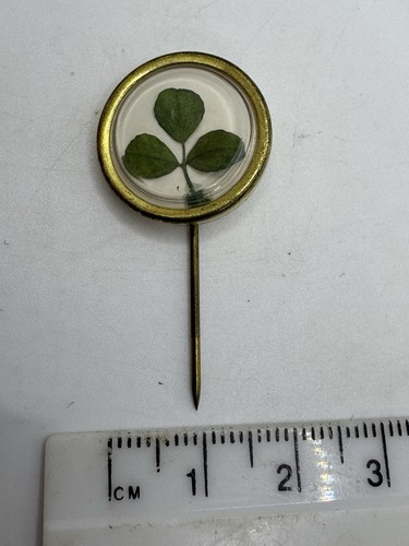 Vintage real shamrock clover - vintage,