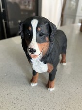 Wade North Light Bernese
