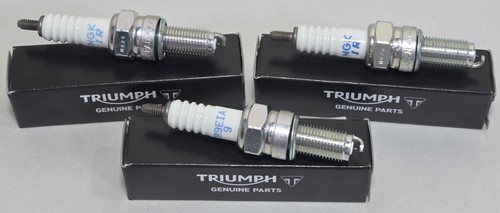 New 2006 2020 triumph - 2006-2020,