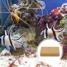  10 Pcs Aquarium Decorations