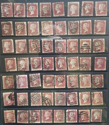 Sg43 sg44 selection - qv,