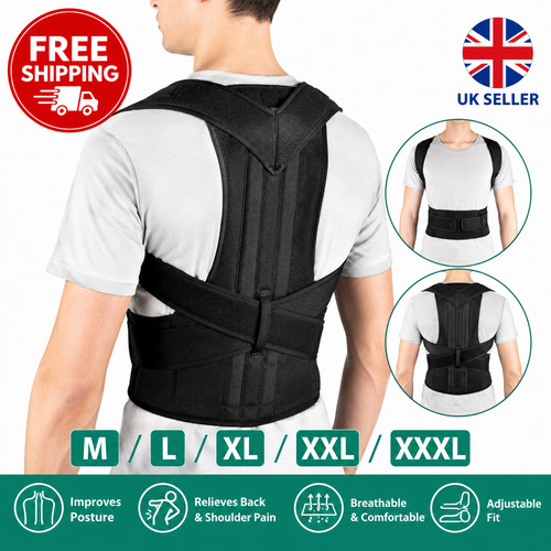 Reinforced belt lumbar column - lumbar,