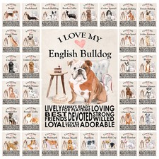 I Love My Dog Metal Tin Sign