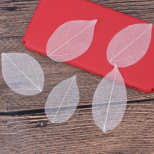 White skeleton leaves 6pcs - white,