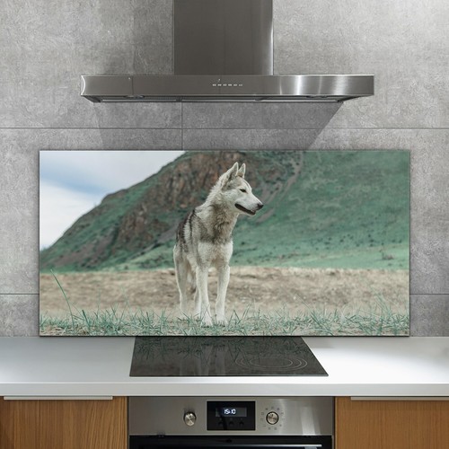 Glass kitchen splashback - kitchen,