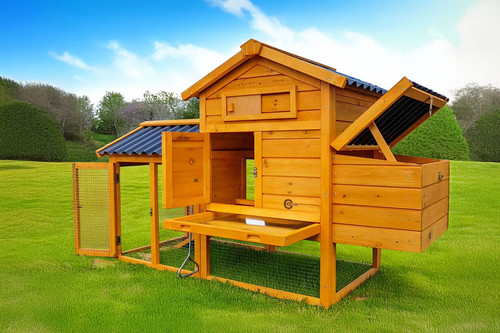 Chicken coop run hen - chicken, house