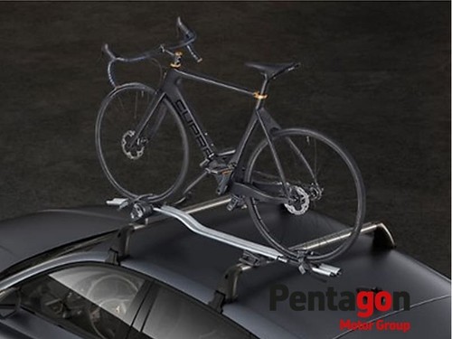 Thule expert 298 - expert,