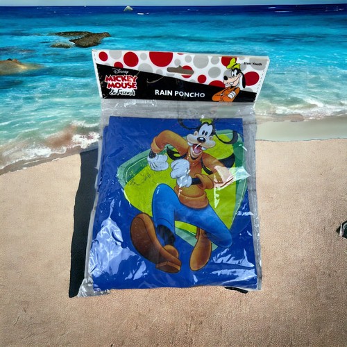 Disney goofy rain - goofy, poncho