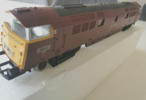 Hornby class - hornby, (d1039)