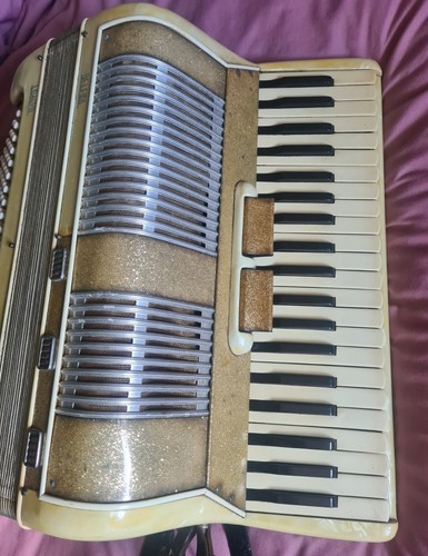 Delfini loreto accordion - delfini,