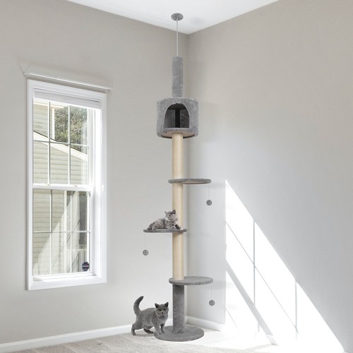 Floor ceiling cat tree - cat,