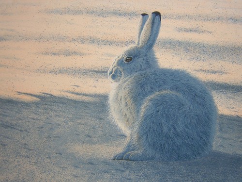 Keith brockie winter light - keith,