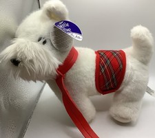 White West Highland Terrier