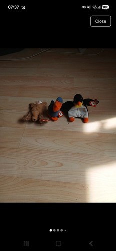 Teenie beanie babies - teenie,