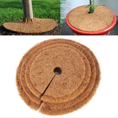 5pcs natural coconut - 5pcs, fiber
